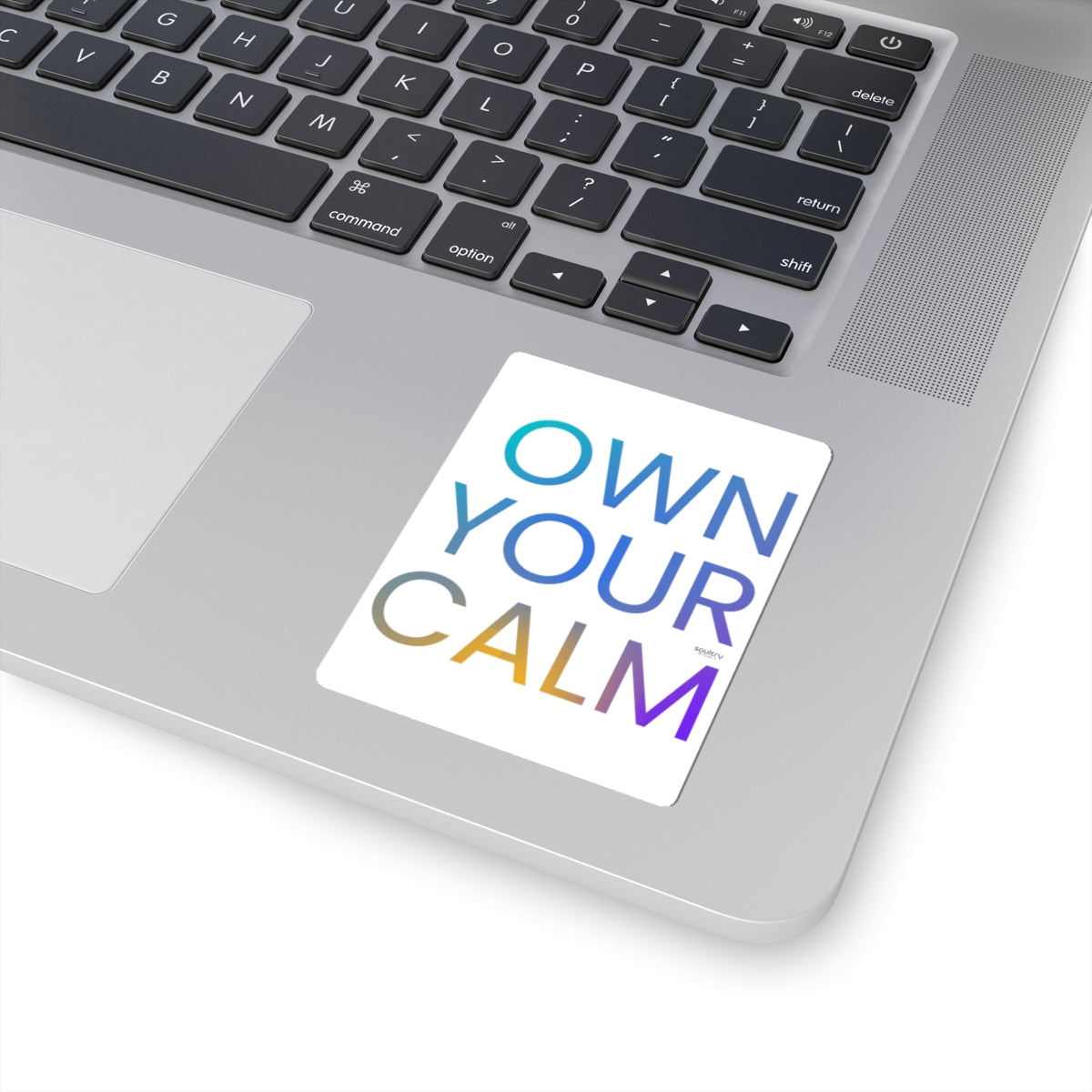 Chic Motivational Kiss-Cut Stickers - Own Your Calm, Stress Relief Decor, Laptop, Journal, Gift Idea, Relaxation Vibe