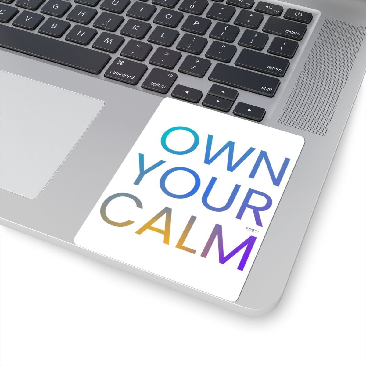 Chic Motivational Kiss-Cut Stickers - Own Your Calm, Stress Relief Decor, Laptop, Journal, Gift Idea, Relaxation Vibe